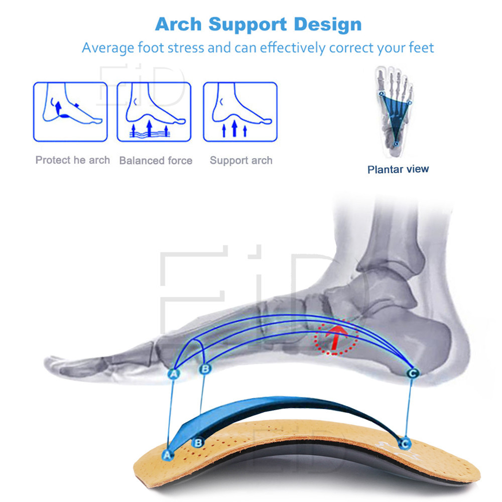 Da Lót Orthotic Bò Chân Đệm Gó - đánh giá và giá Men Shoes Eid