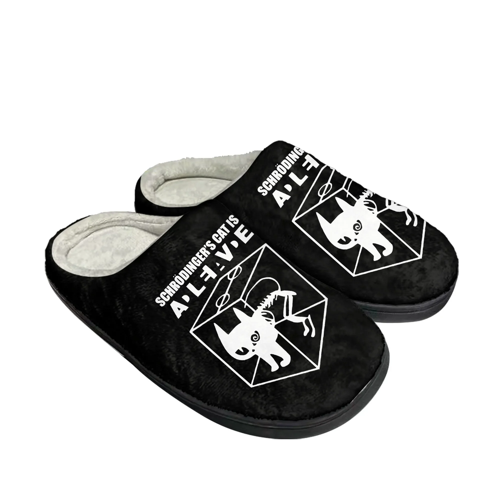 The Big TBBT Schrodinger's Cat - đánh giá và giá Men Shoes Size To Women
